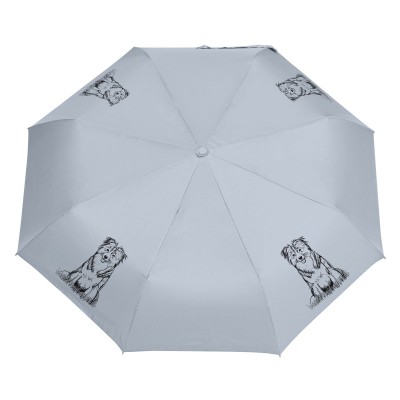 Parasol Border Collie