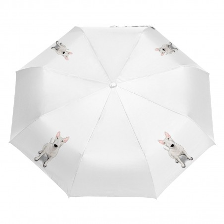 Parasol Border Collie