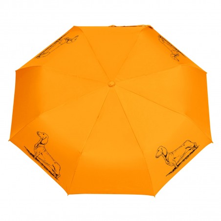 Parasol Buldog francuski szkic