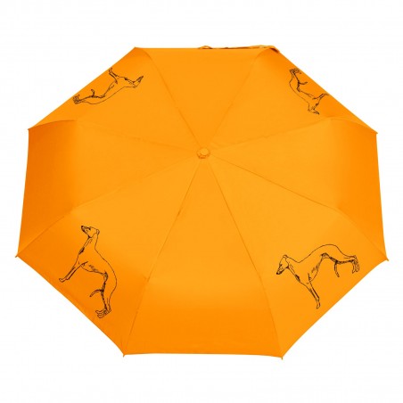 Parasol Buldog francuski szkic