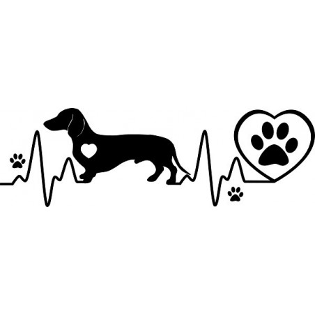 Naklejka Jamnik kardio