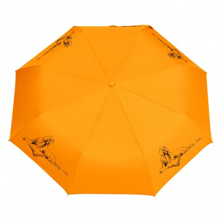 Parasol Shih Tzu szkic