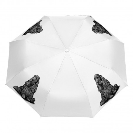 Parasol Border Collie