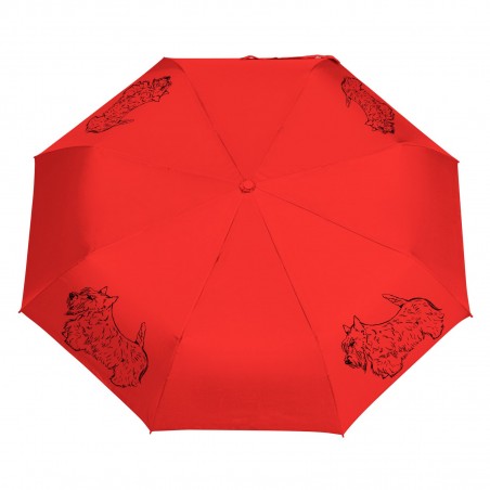 Parasol Shih Tzu szkic