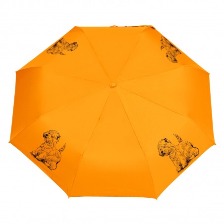 Parasol Shih Tzu szkic