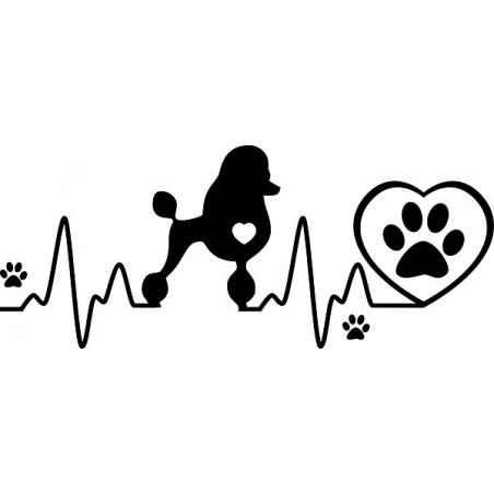 Naklejka Pudel kardio