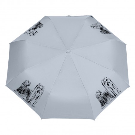 Parasol Shih Tzu szkic
