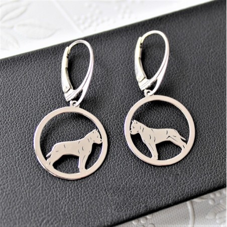 Kolczyki Amstaff w okręgu