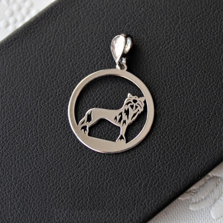 Zawieszka Grzywacz Chiński w okręgu