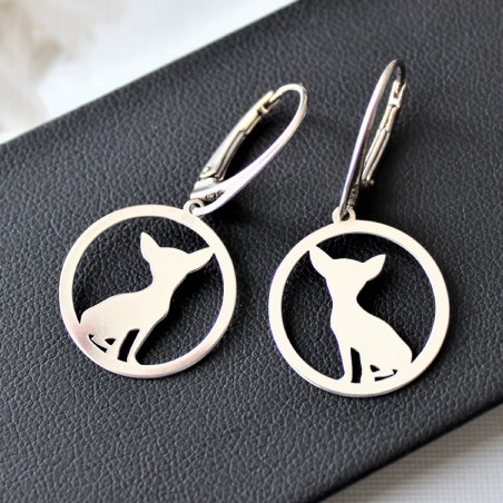 Kolczyki Chihuahua w okręgu