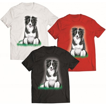 Koszulka Border collie