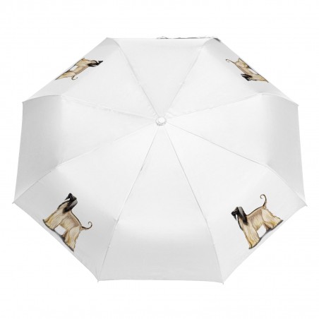 Parasol Chart afgański