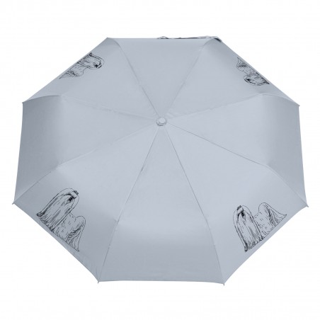 Parasol Maltańczyk szkic