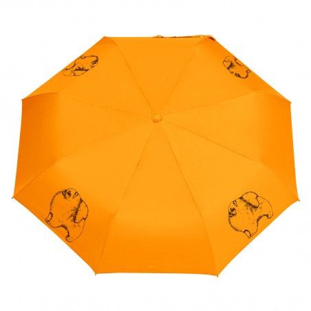 Parasol Pomeranian szkic