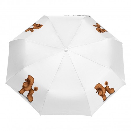 Parasol Pudel morelowy