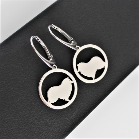 Kolczyki Owczarek szetlandzki w okręgu