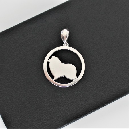 Zawieszka Owczarek szetlandzki w okręgu