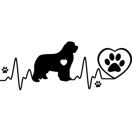 Naklejka nowofunland kardio