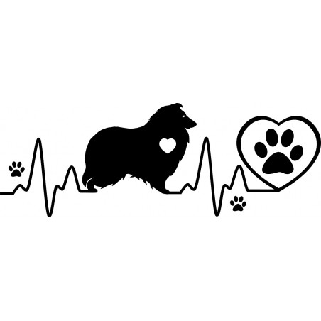 Naklejka owczarek szkocki collie kardio