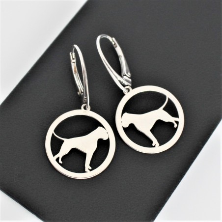 Kolczyki Bokser w okręgu