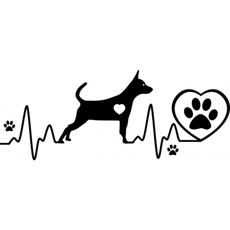 Naklejka samochodowa Pinczer