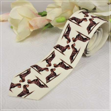 Krawat Jamnik szorstkowłosy