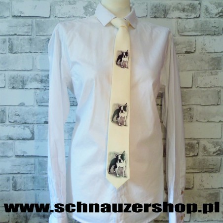 Krawat Boston Terrier