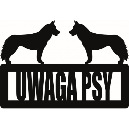 Uwaga Psy Husky