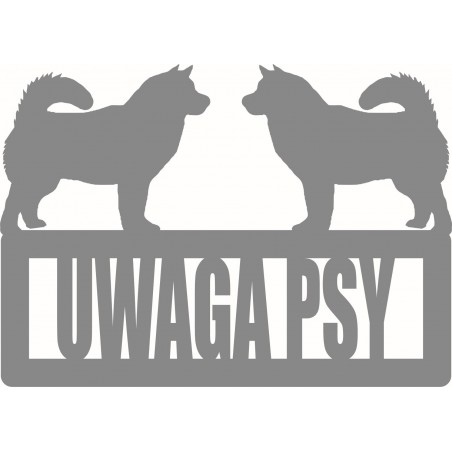 Uwaga Psy Malamute