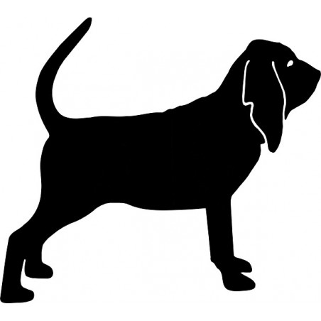 Naklejka Bloodhound