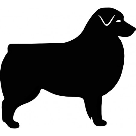 Naklejka owczarek australijski