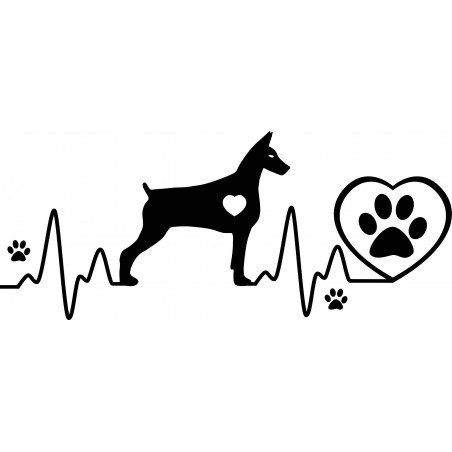 Naklejka Dobreman kardio