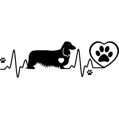 Naklejka kardio jamnik długowłosy