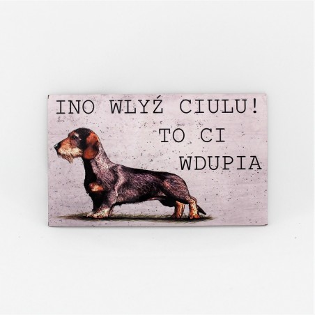 Tabliczka jamnik szorstkowłosy