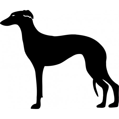 Naklejka Whippet