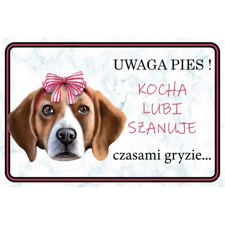 Tabliczka Beagle ONA