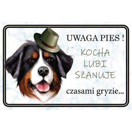 Tabliczka Berneński Pies Pasterski ON