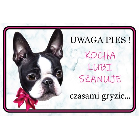 Tabliczka Boston terrier ona
