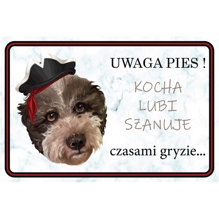 Tabliczka lagotto on