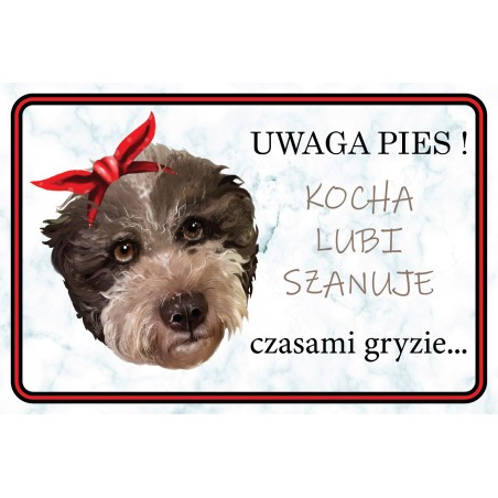 Tabliczka lagotto ona