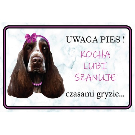 Tabliczka Springer spaniel ONA