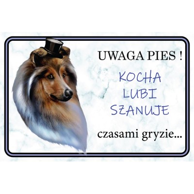 Tabliczka owczarek collie on