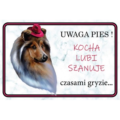 Tabliczka owczarek collie ona