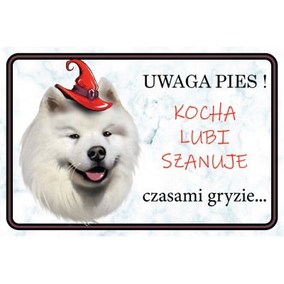 Tabliczka samoyed