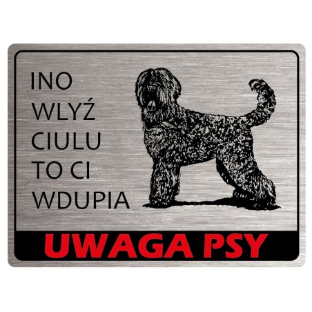 Tabliczka ostrzegawcza uwaga pies Terrier Rosyjski