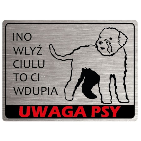 Tabliczka ostrzegawcza uwaga pies Lagotto
