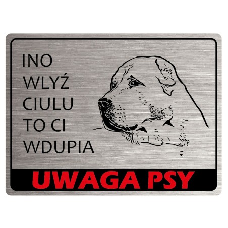 Tabliczka ostrzegawcza uwaga pies Owczarek Środkowoazjatycki
