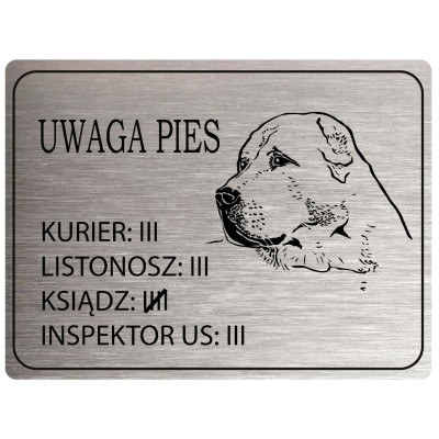 Tabliczka Uwaga Pies...