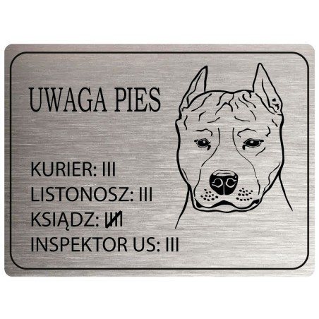 Tabliczka ostrzegawcza uwaga pies Amstaff