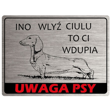 Tabliczka ostrzegawcza uwaga pies jamnik